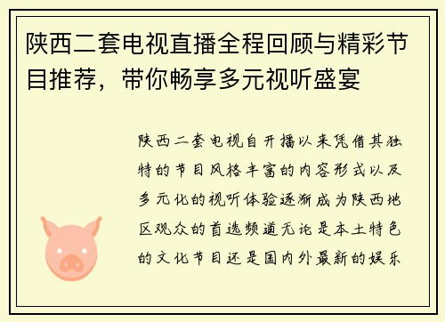 陕西二套电视直播全程回顾与精彩节目推荐，带你畅享多元视听盛宴