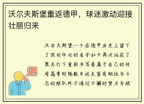 沃尔夫斯堡重返德甲，球迷激动迎接壮丽归来