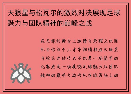 天狼星与松瓦尔的激烈对决展现足球魅力与团队精神的巅峰之战